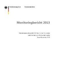 Titelblatt des Energie-Monitoringberichts 2013