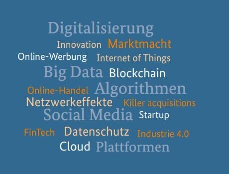 Schlagworte zu digitalen Themen: Digitalisierung, Innovation, Marktmacht, Online-Werbung, Internet of Things, Big Data, Blockchain, Online-Handel, Algorithmen, Netzwerkeffekte, Killer aquisitions, Social Media, Startuo, FinTech, Datenschutz, Industrie 4.0